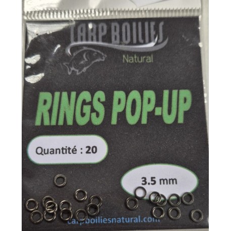 Anneaux Rig Rings
