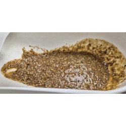 TIGER PEANUTS CONCENTRATE